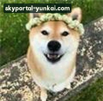 李娜